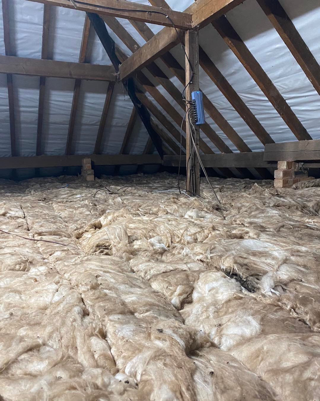 468307135_425450107302691_3239193600614006030_n